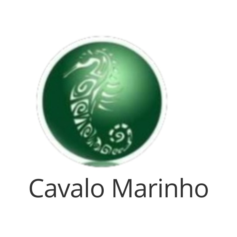 ONG Cavalo Marinho